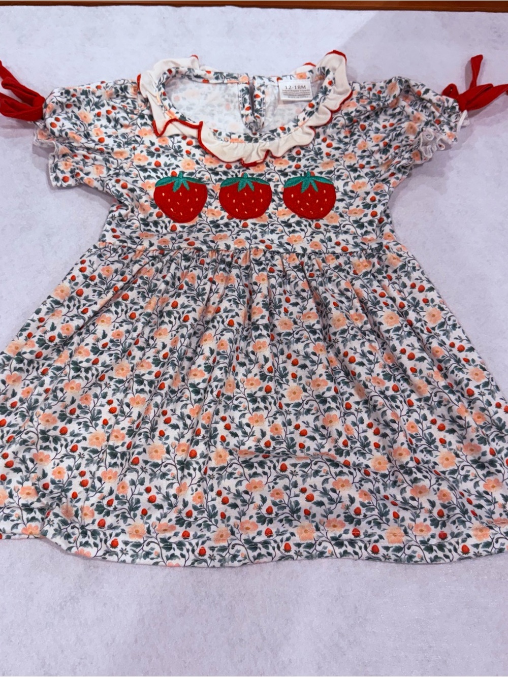 Boutique Strawberry Embroidered Floral Dress | 12-18M